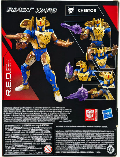 Image #4