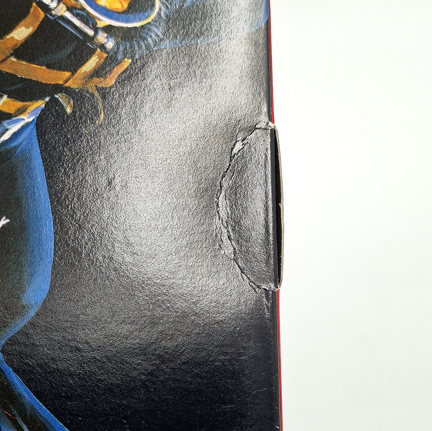 Image #5