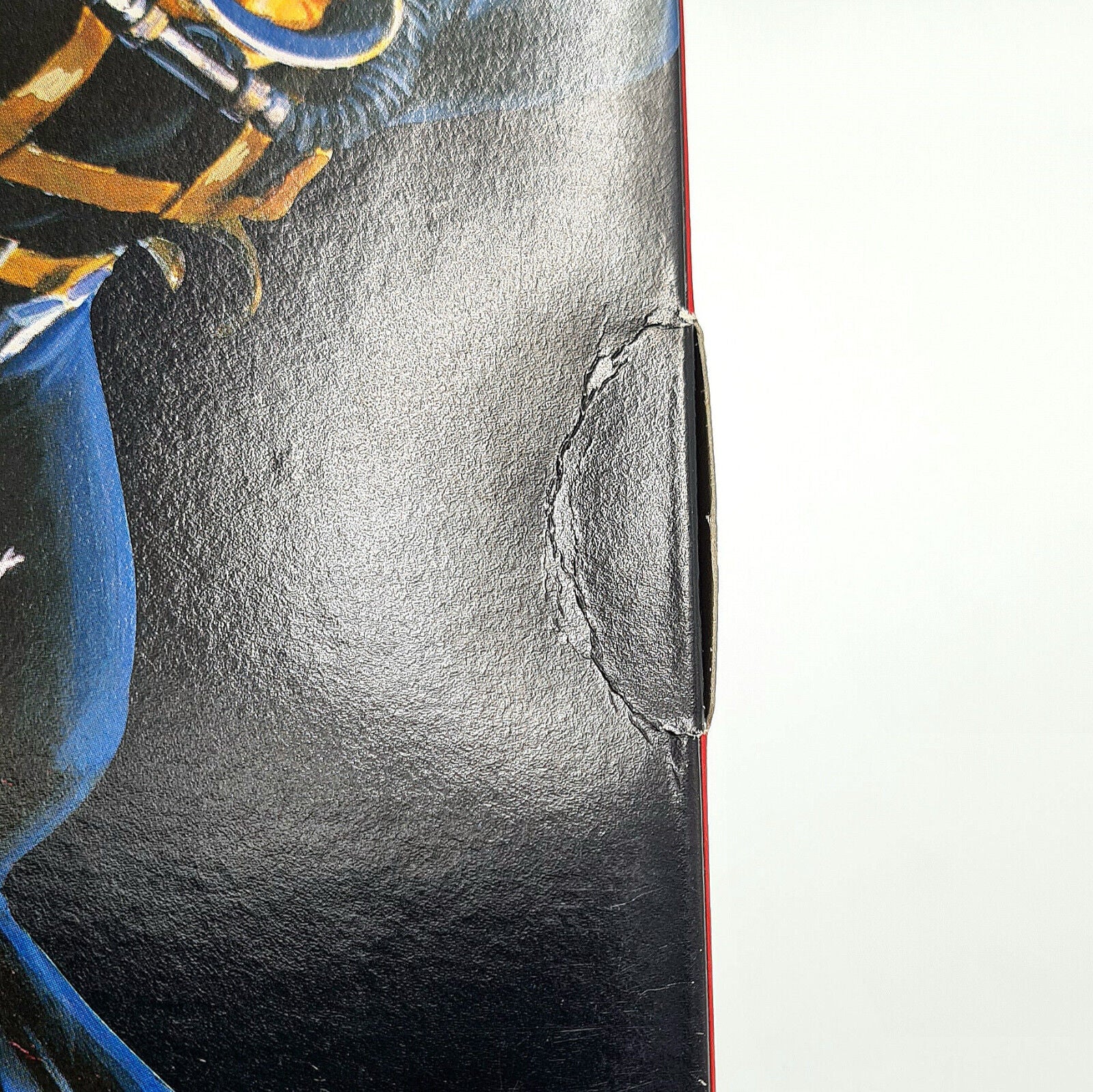 Image #5