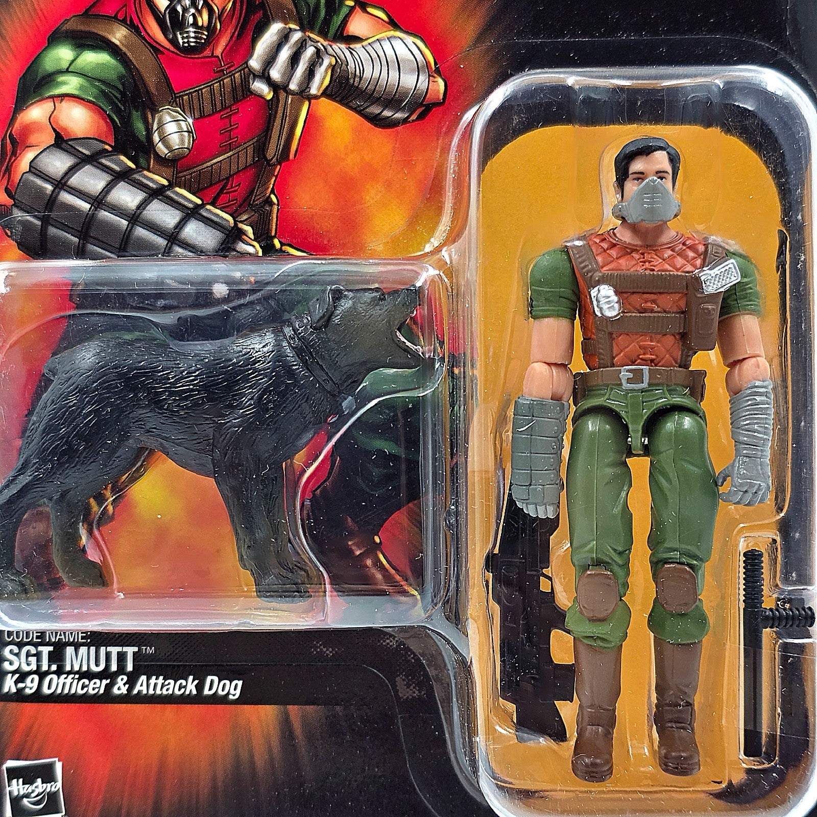 Image #2